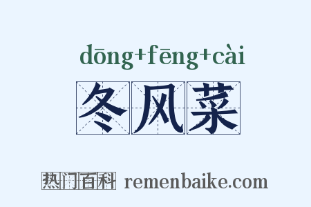 冬风菜是什么意思的图片